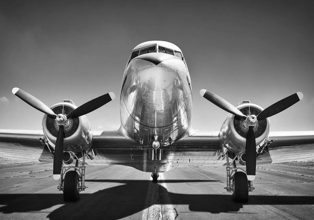 Fototapet - Avion (254x184 cm)