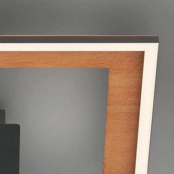 Lustră LED dimabilă aplicată FRAME 2xLED/11W/230V Brilo