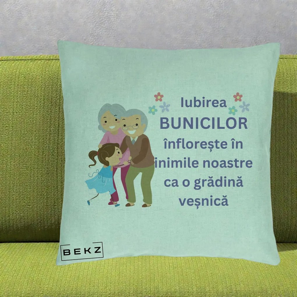 Perna personalizata bunici: Iubirea bunicilor, cu nepoata, text mov, 40x40 cm cu Umplutura, Verde Menta, BEKZ