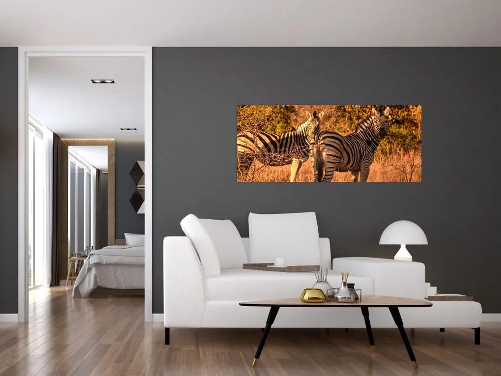 Tablou cu zebre (120x50 cm)