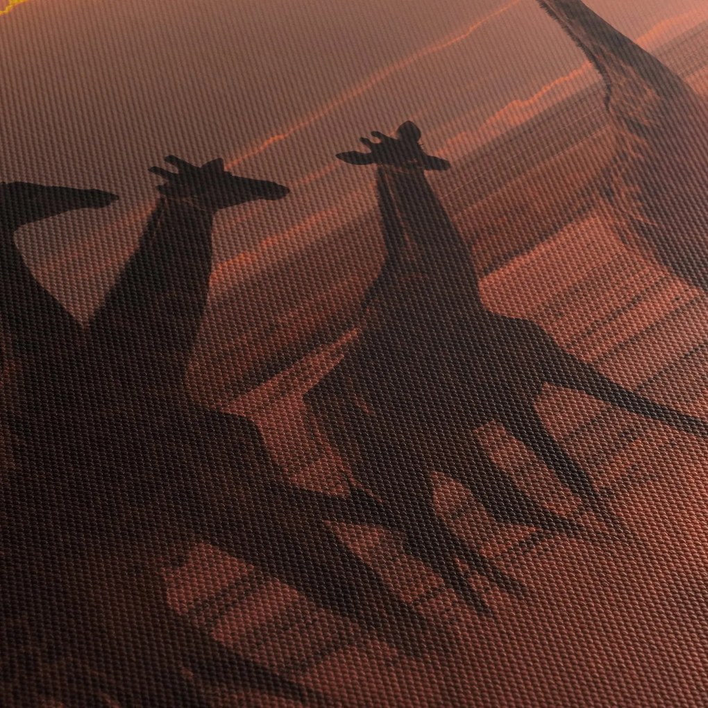 Tablou - Girafe în savana africană (70x50 cm)