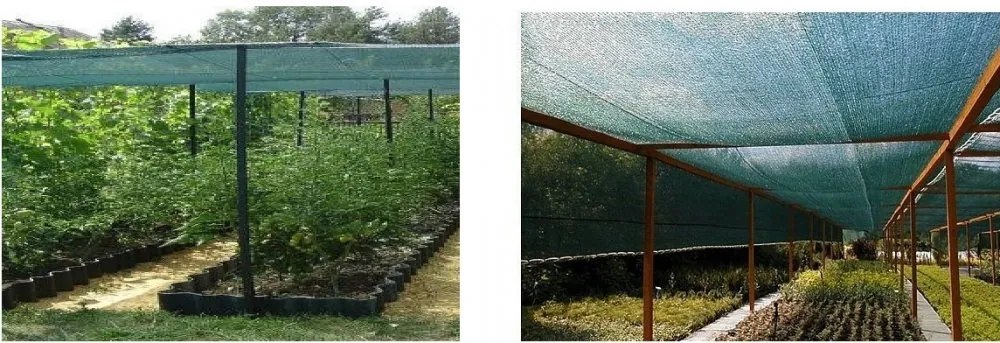 Plasă de umbrire cu 62% - 65g/m2 3m x 80m