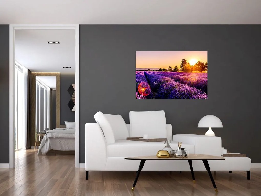 Tablou cu câmp de lavandă (90x60 cm)