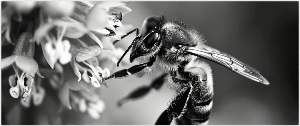 Tablou - Detaliu de albină (120x50 cm)
