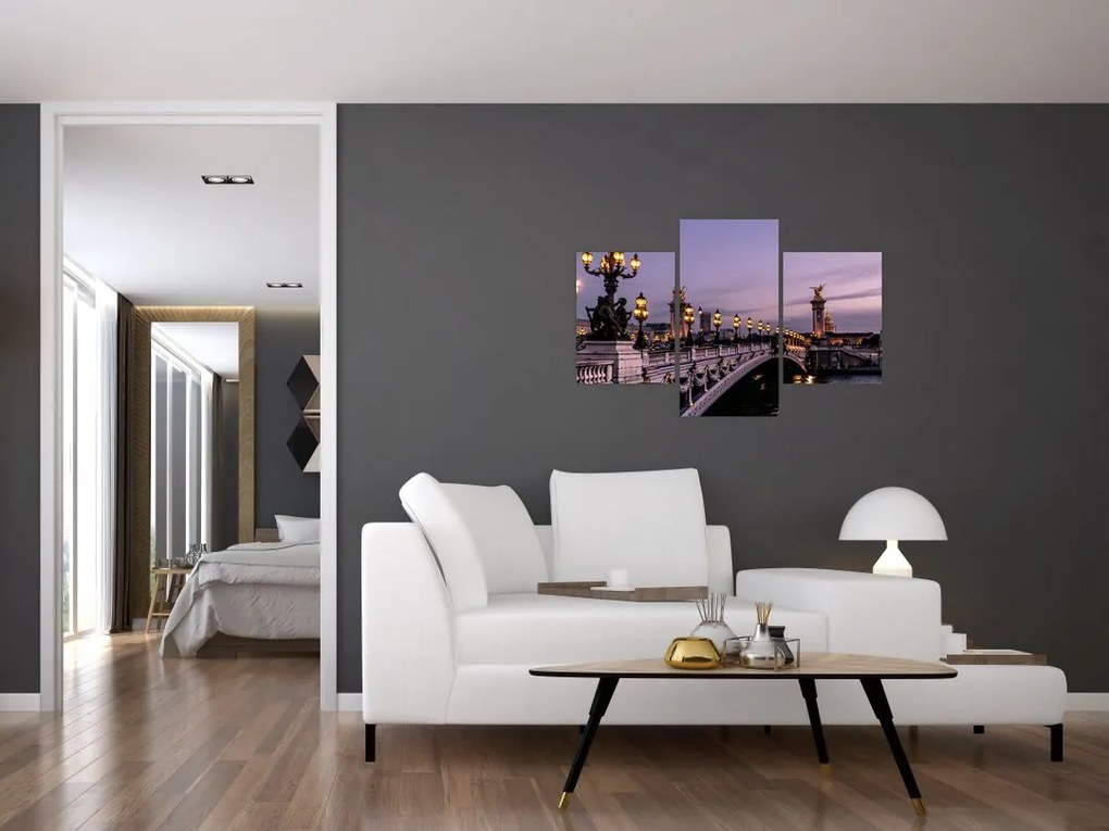 Tablou - Podul lui Alexandru al III.-lea din Paris (90x60 cm)