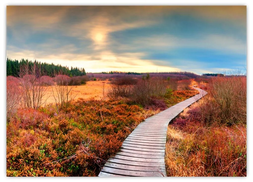 Tablou pe sticlă - Peisaj de toamnă - drum (70x50 cm)