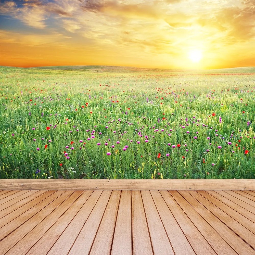 Fototapet Spring Meadow