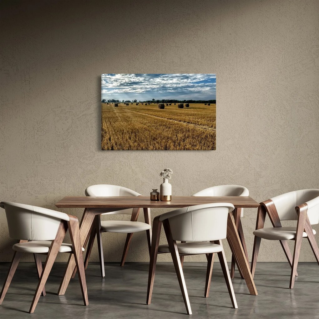 Tablou cu câmp recoltat (90x60 cm)