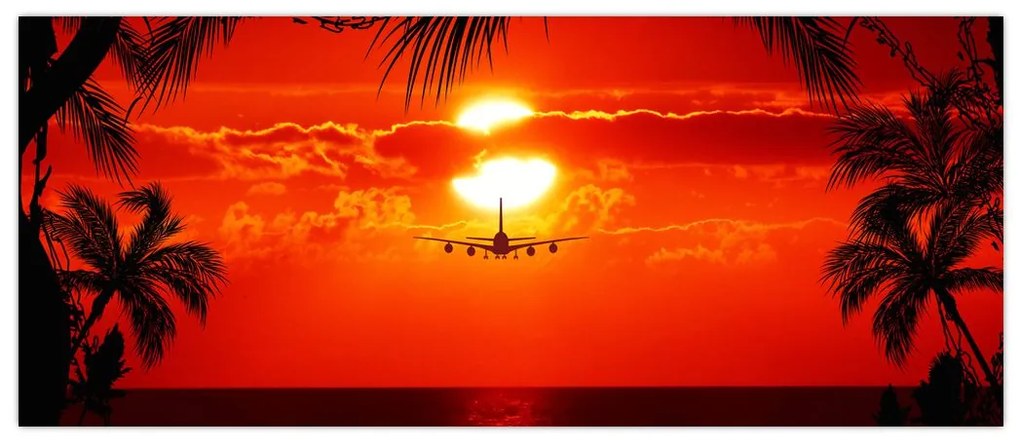 Tablou - apus de soare cu avion (120x50 cm)