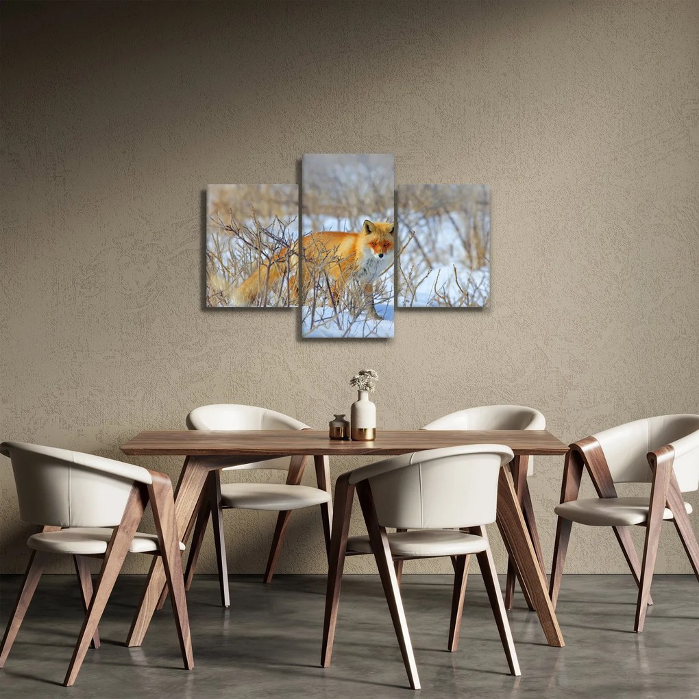 Tablou - Vulpe (90x60 cm)