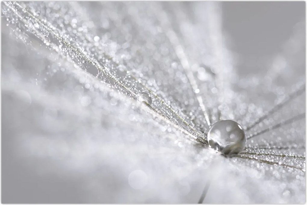 Tablou - Picătură de apă (90x60 cm)