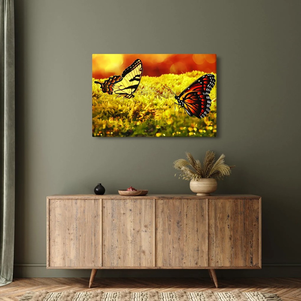 Tablou cu fluturi (90x60 cm)