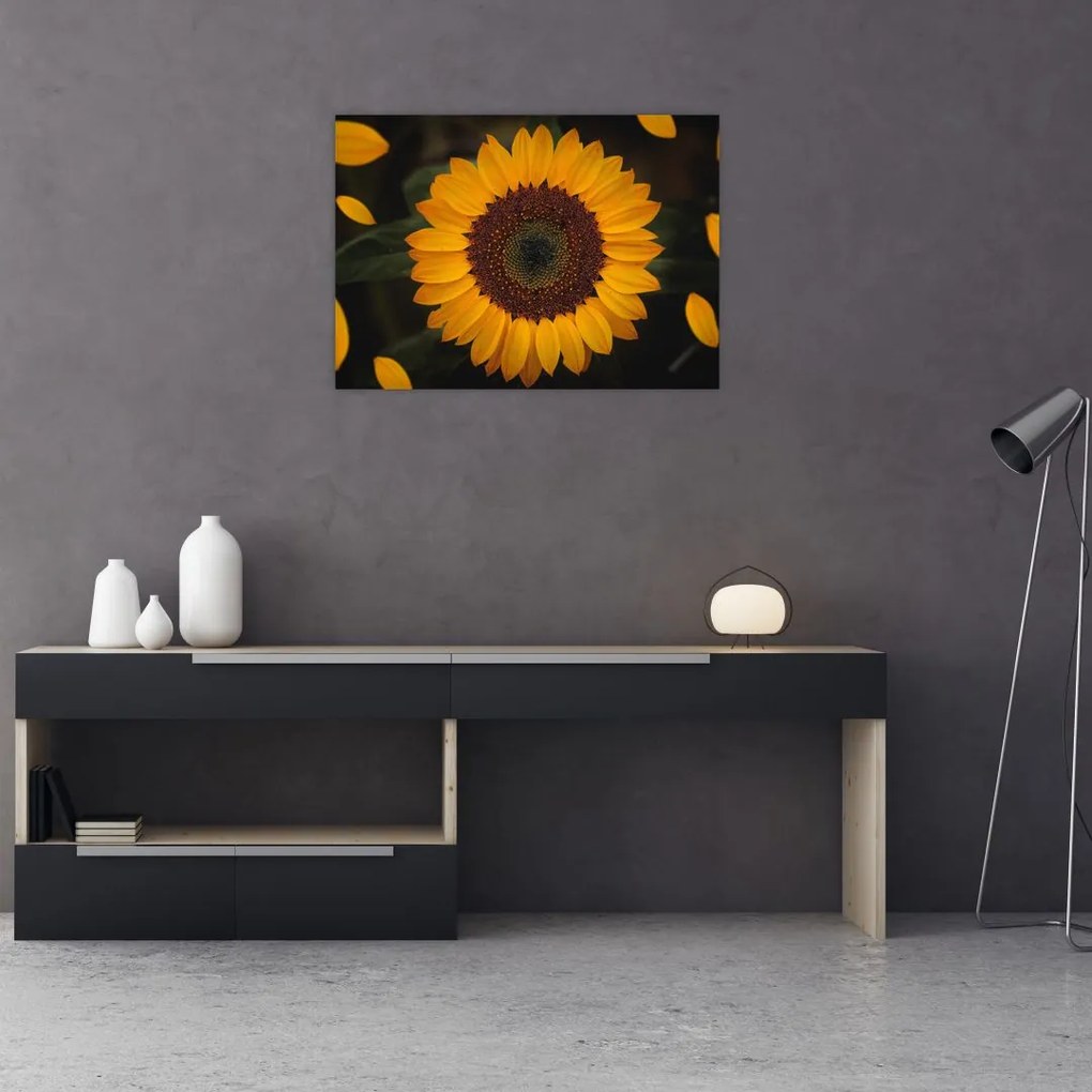 Tablou pe sticlă - Floarea soarelui și petale (70x50 cm)