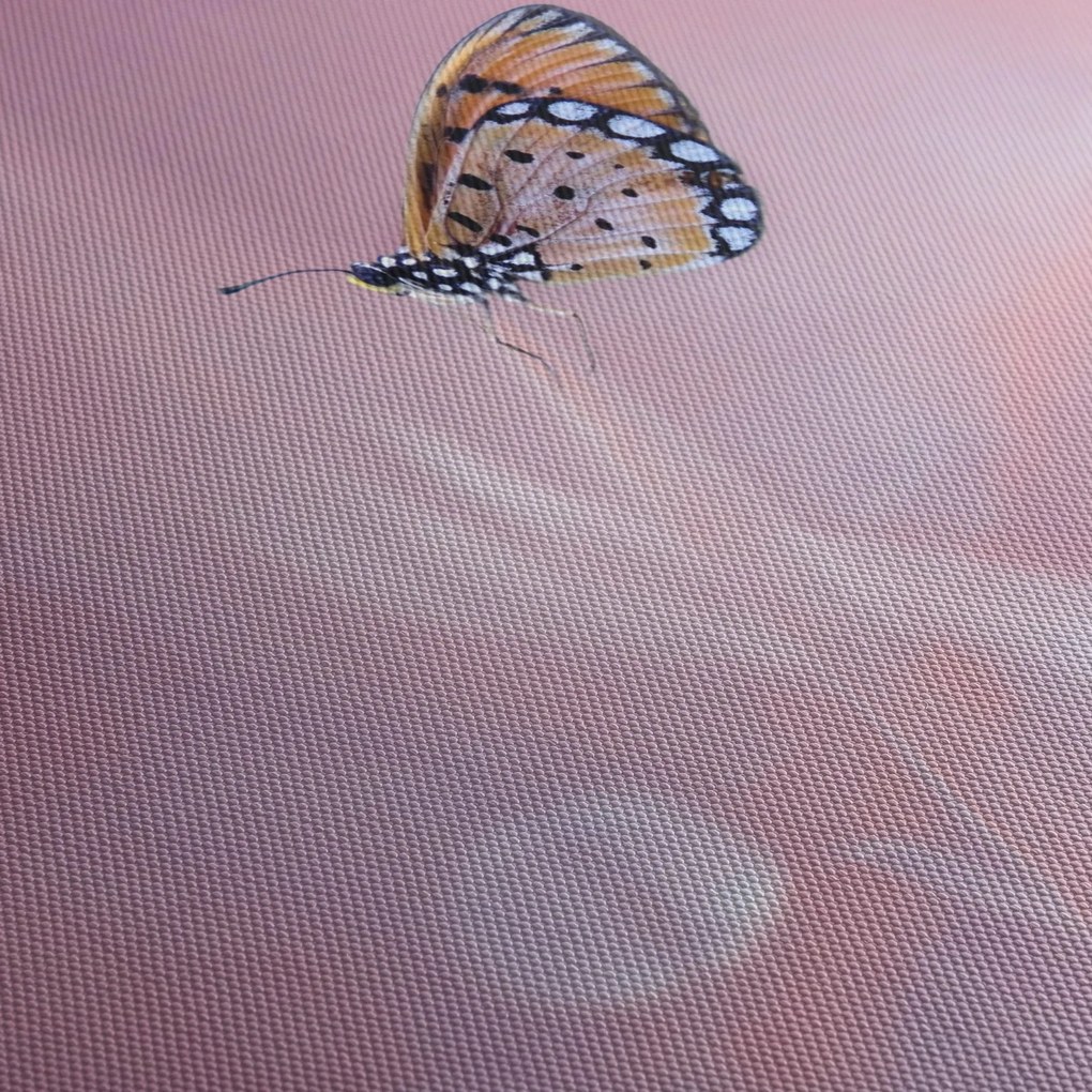 Tablou - Fluturele (150x105 cm)