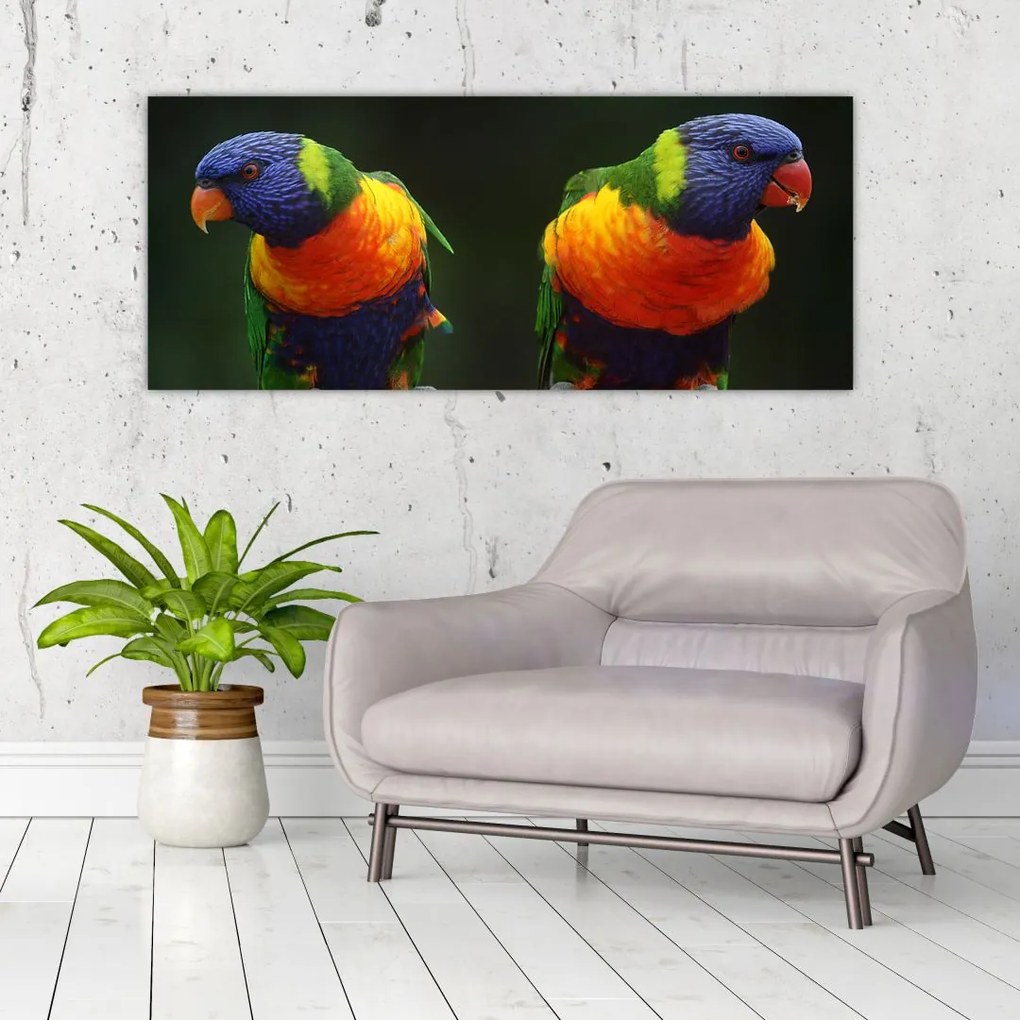 Tablou cu papagali (120x50 cm)