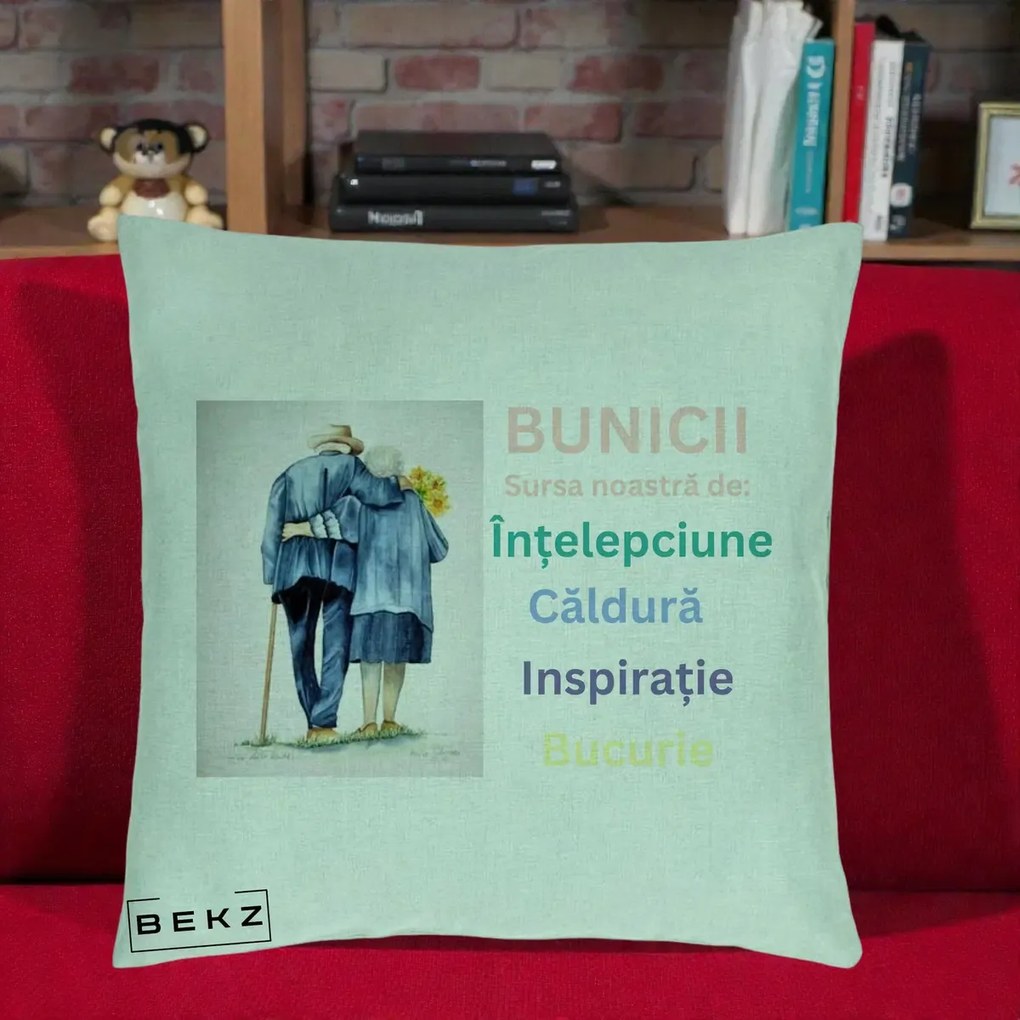 Cadou pentru Bunici - Perna Personalizata Bunicii Sursa Intelepciune Caldura Acuarela, 40x40 cm, Verde Menta, Husa Detasabila, Perna Inclusa, BEKZ®