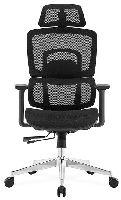 Ergodynamic Gary H - Scaun de birou - Full mesh - black, translatie sezut, brate 3D