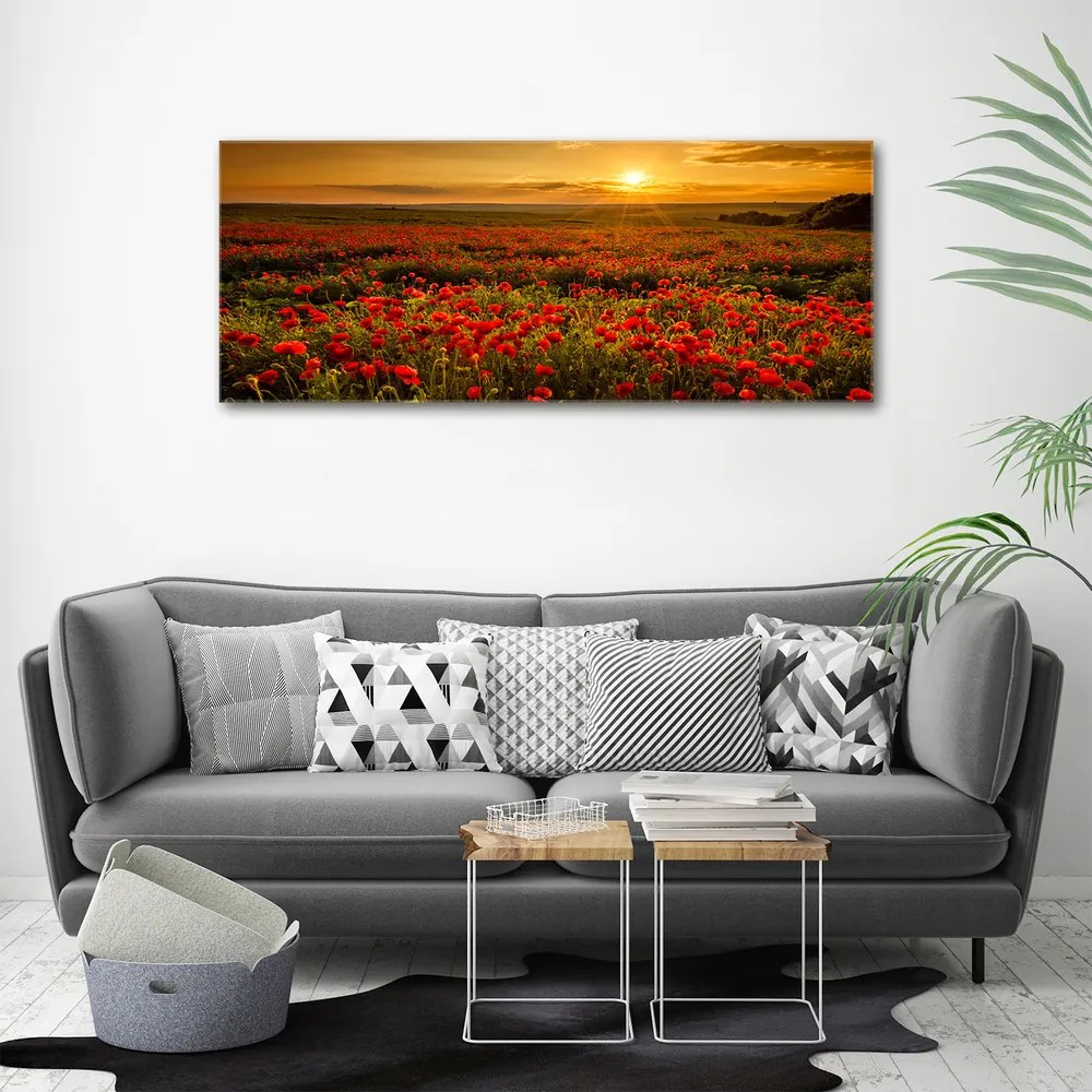 Imprimare tablou canvas Câmp de maci
