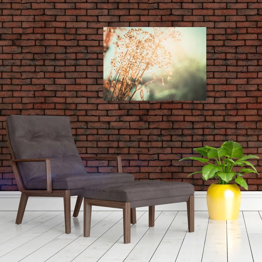 Tablou pe sticlă - Plante după ploaie (70x50 cm)