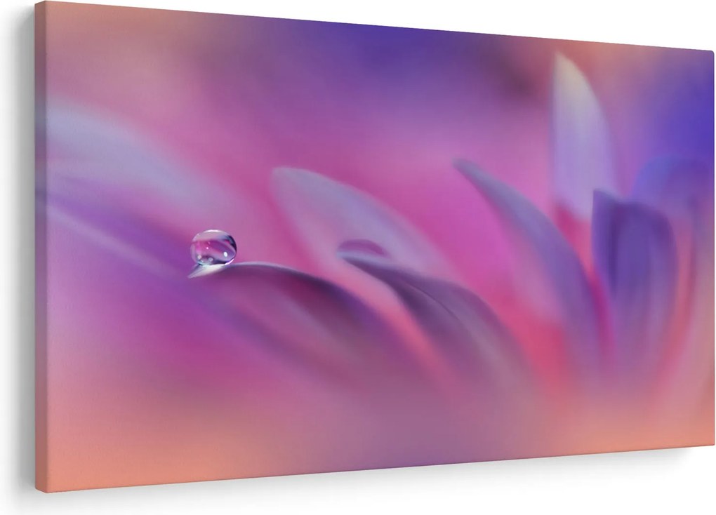 Tablou - Picătură pe floare (90x60 cm)
