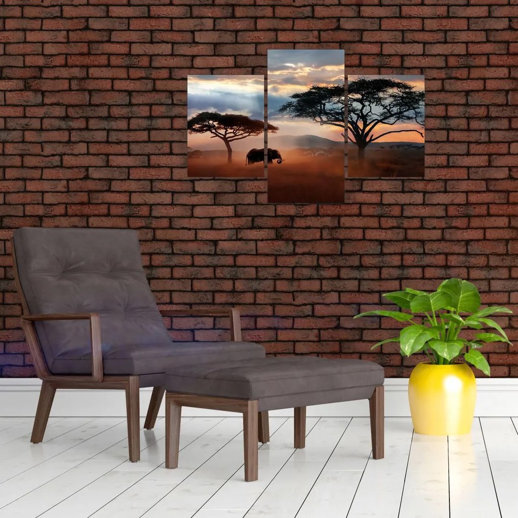 Tablou - Parcul Național Serengeti, Tanzania, Africa (90x60 cm)