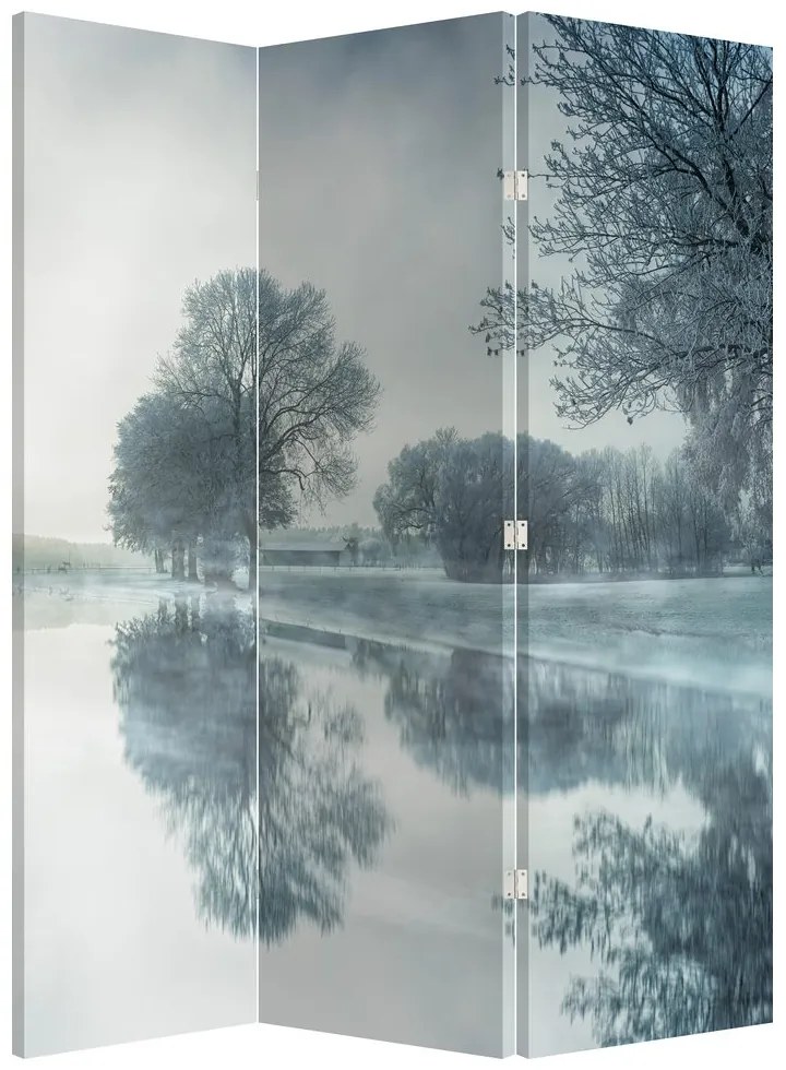 Paravan - Natura iarna (126x170 cm)