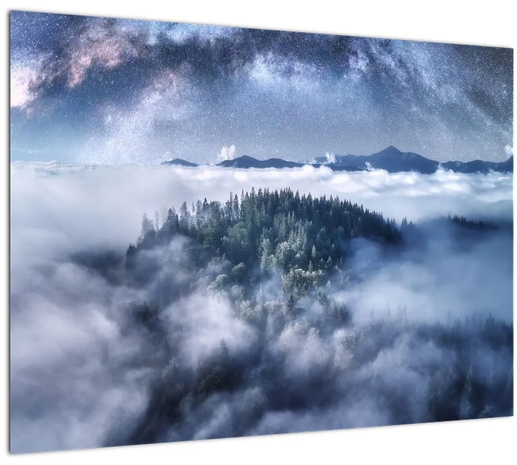 Tablou pădurii în ceață (70x50 cm)