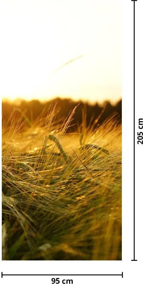 Fototapet pentru ușă - Iarba cu rouă (95x205cm)