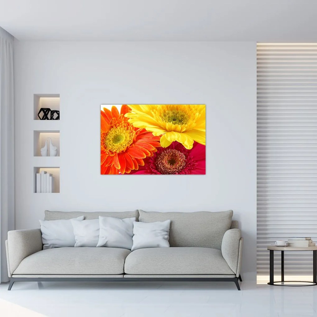 Tablou - Flori Gerbery (90x60 cm)