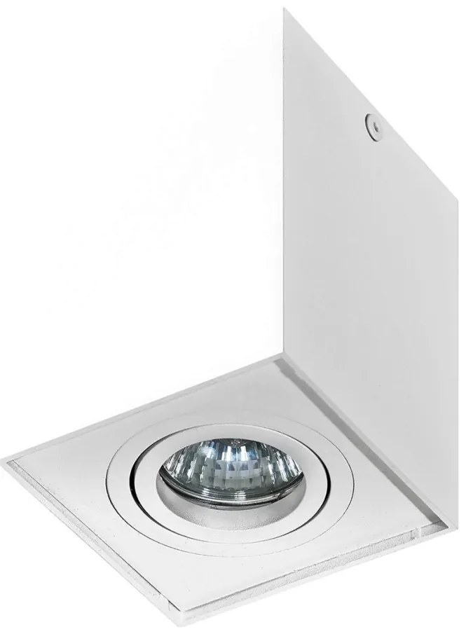 Spot directionabil aplicat tavan/plafon stil modern ELOY 1 White
