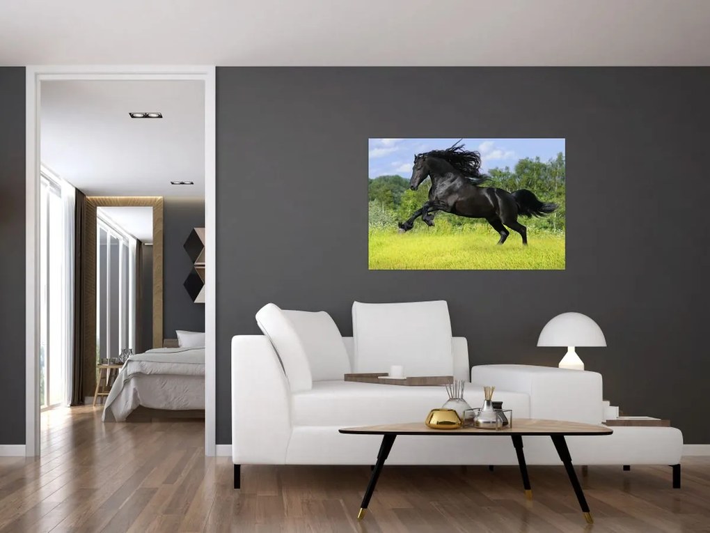 Tablou - Cal cu o coamă curgătoare (90x60 cm)