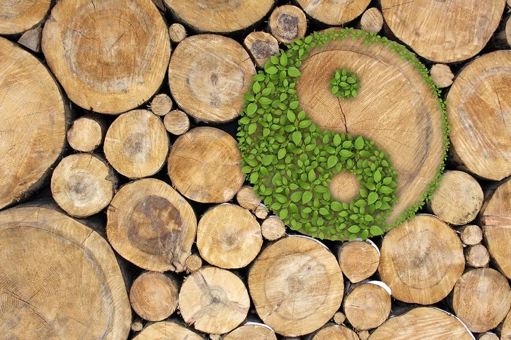 Fototapet Yin și Yang în design eco