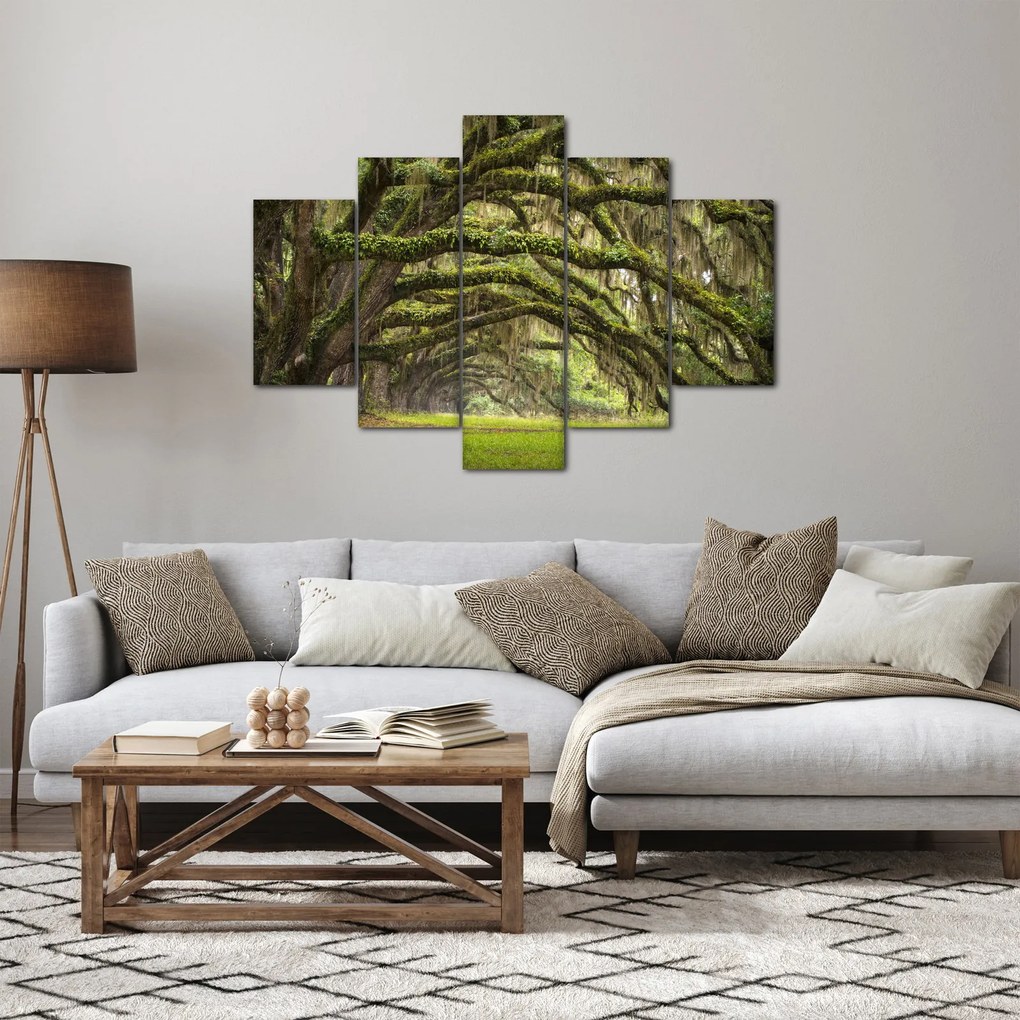 Tablou - Oaks Avenue, Charleston, Carolina de Sud, SUA (150x105 cm)