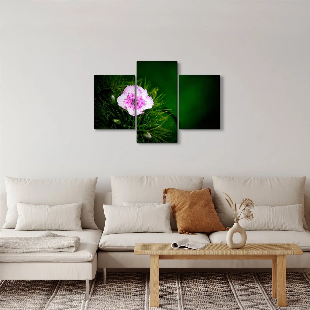 Tablou cu floare roz (90x60 cm)
