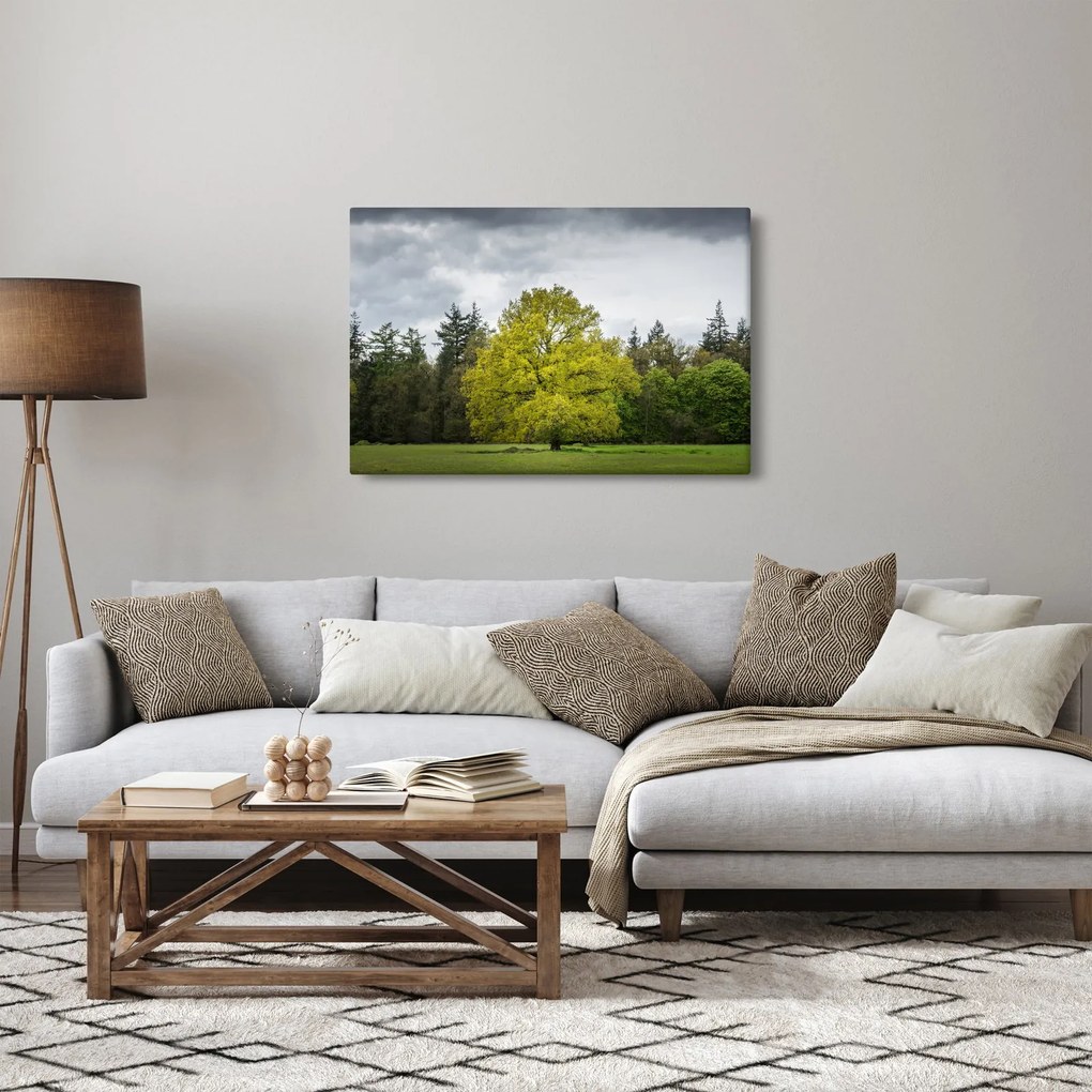 Tablou - Copac verde în câmp (90x60 cm)