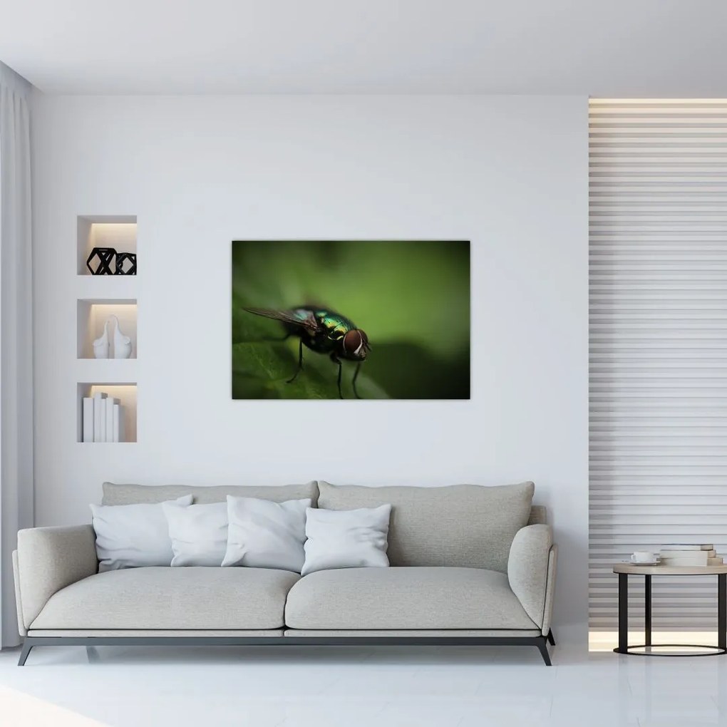 Tablou - Musca (90x60 cm)