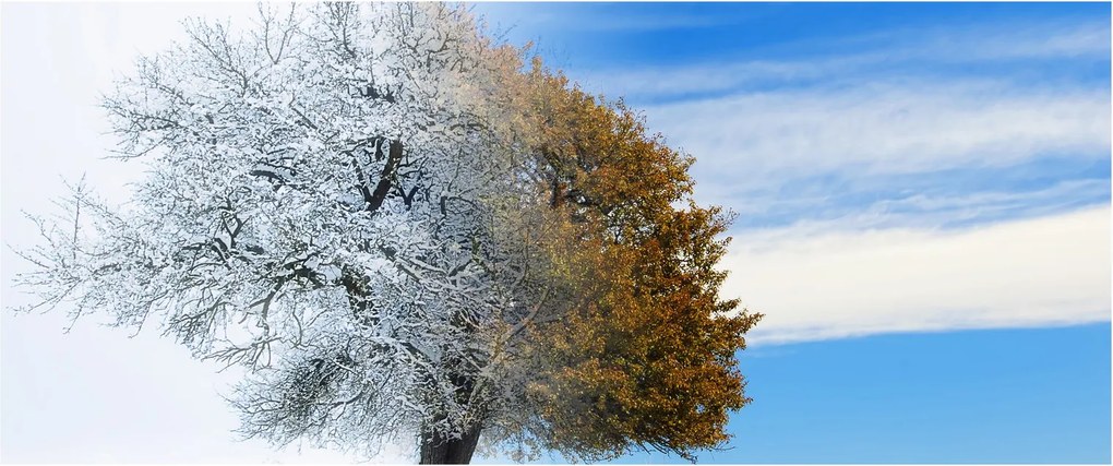 Tablou - Schimbarea anotimpurilor (120x50 cm)