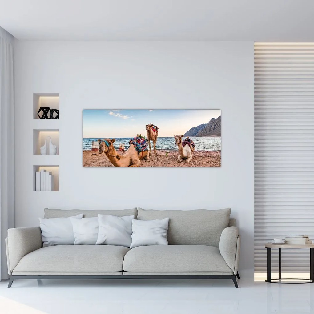 Tablou cu cămile (120x50 cm)