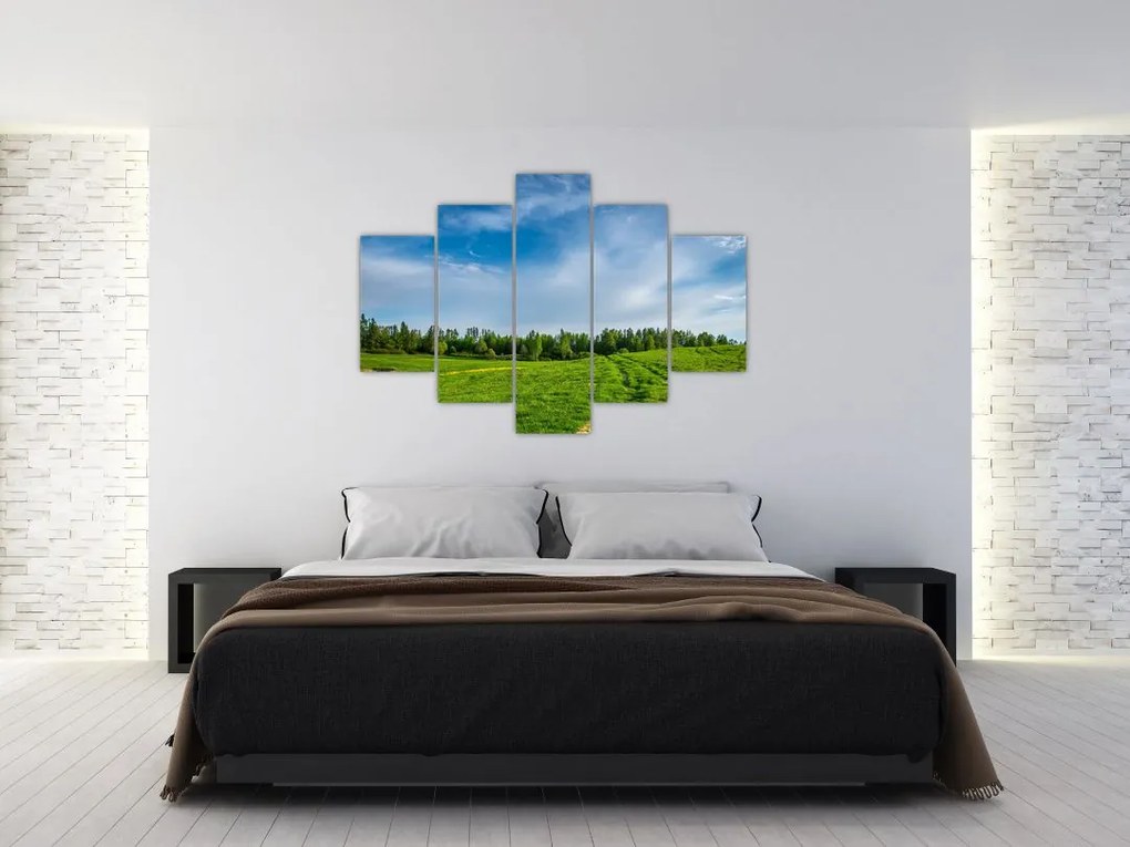 Tablou cu luncă (150x105 cm)