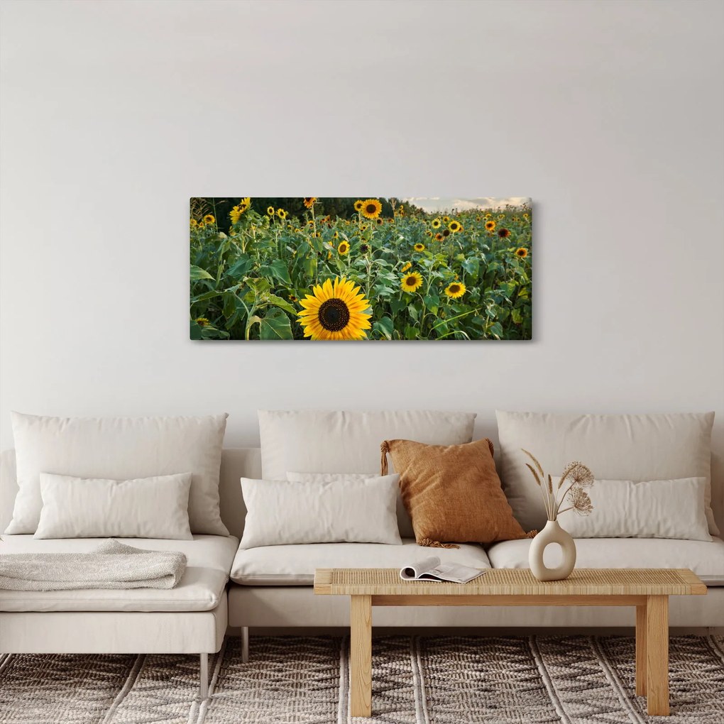 Tablou - Câmpul de floarea-soarelui II. (120x50 cm)