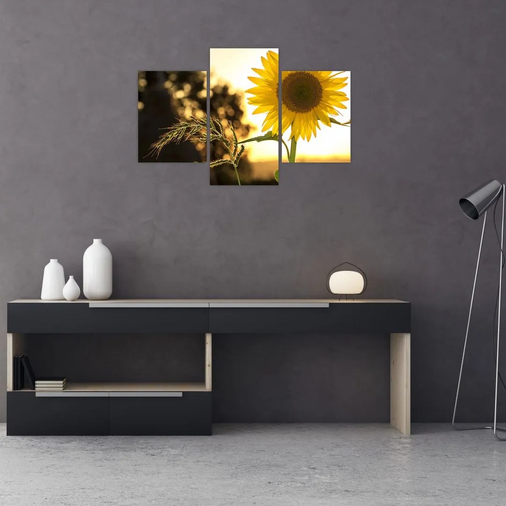 Tablou cu floarea soarelui (90x60 cm)