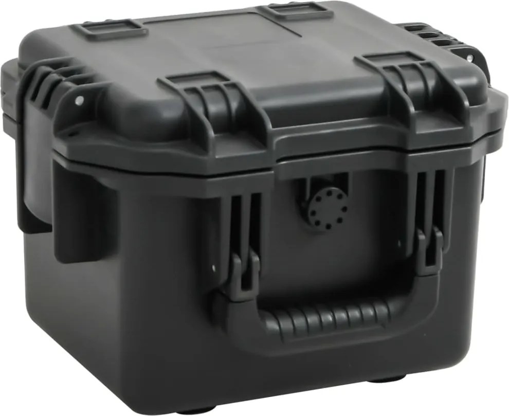 vidaXL Carcasă de transport portabilă, negru, 30x24,5x20 cm, PP