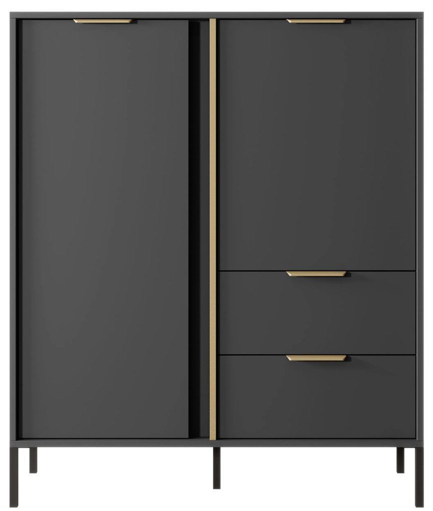 Comodă Lyran 2D2S (antracit + Auriu). 1071353