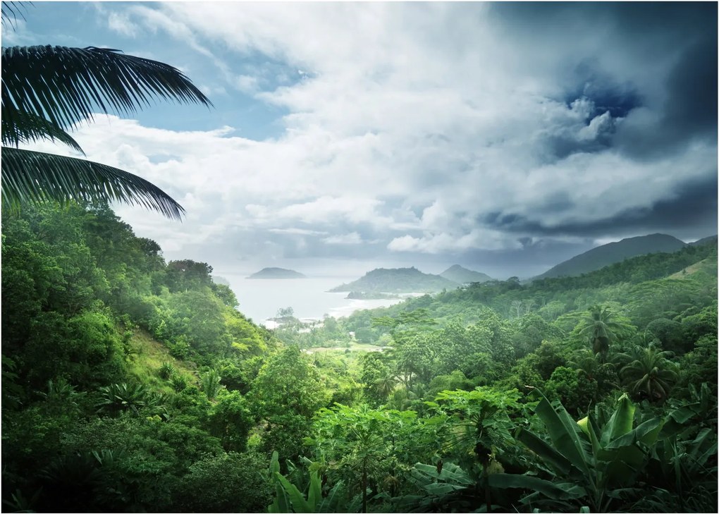 Tablou -Jungla din Seychelles (70x50 cm)