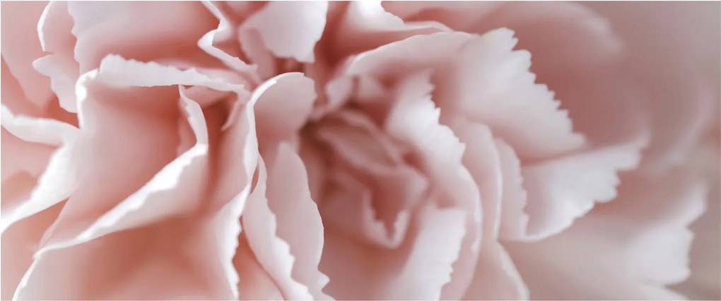 Tablou - Detaliu flori (120x50 cm)
