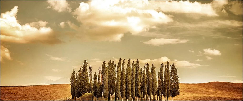 Tablou cu luncă (120x50 cm)