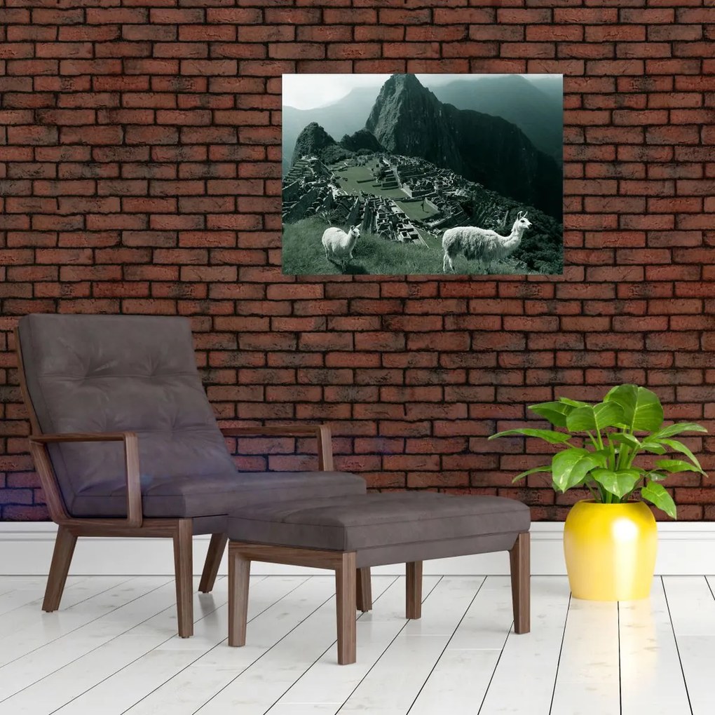 Tablou pe sticlă - Lamas la Machu Picchu în Peru (70x50 cm)