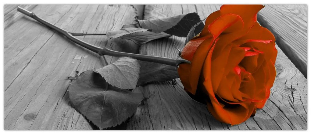Tablou - Trandafir portocaliu (120x50 cm)