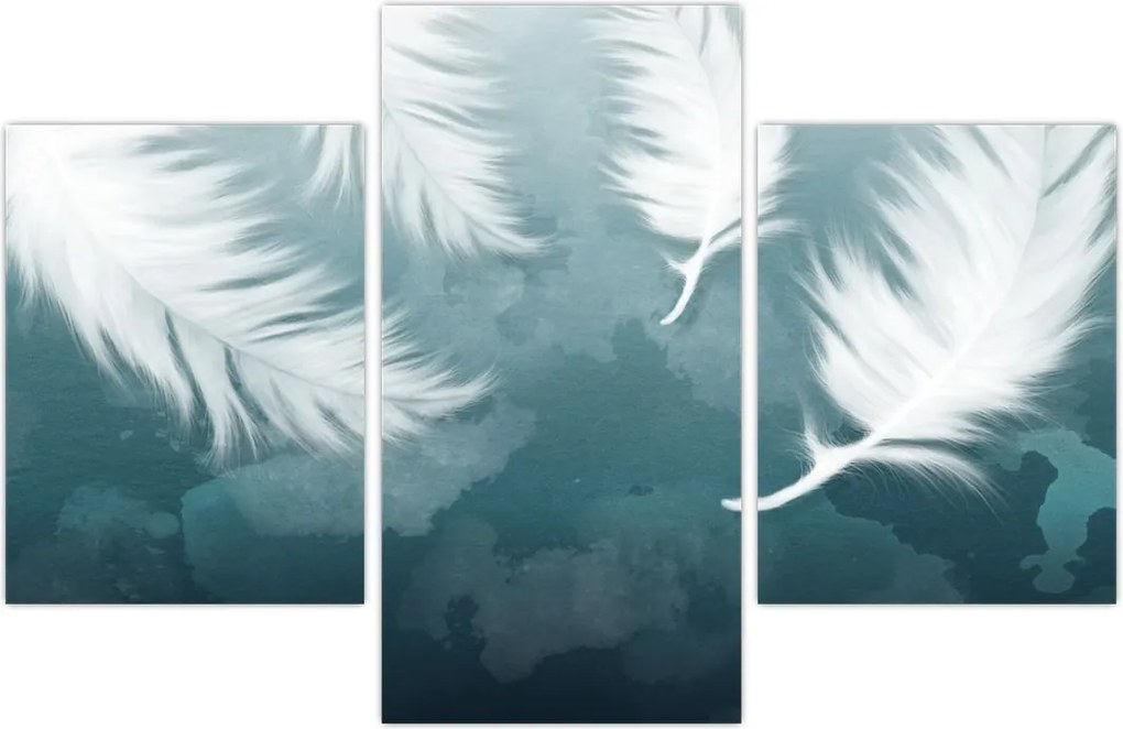 Tablou - Pene albe (90x60 cm)