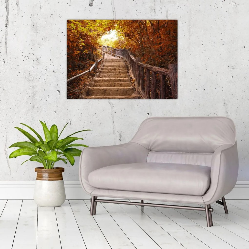 Tablou pe sticlă - Scări în natură în toamnă (70x50 cm)